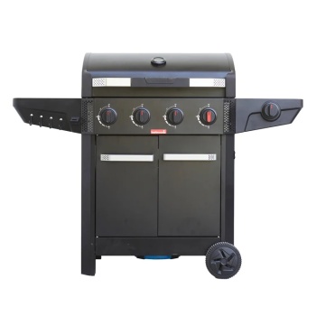 BC-GAS-3100.jpg