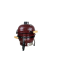 IMG_9265 Ė__Š.png
